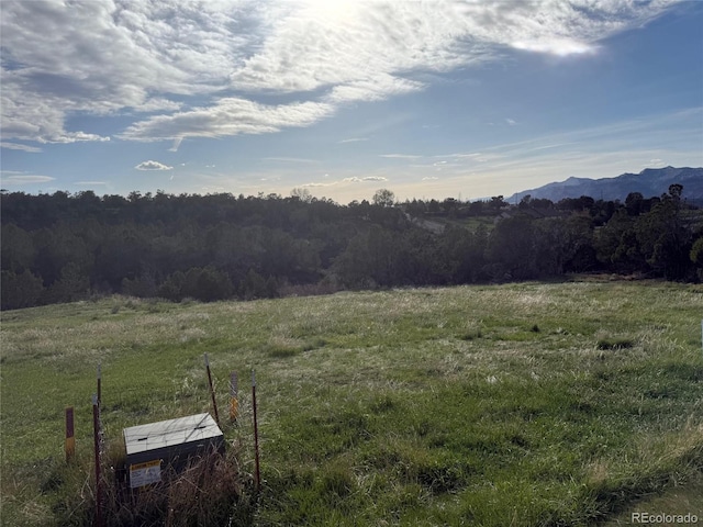 14495 N Scott Loop, Collbran, CO 81624