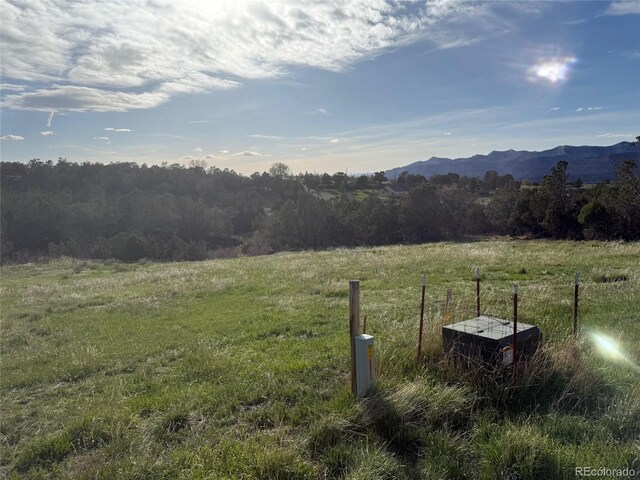 14495 N Scott Loop, Collbran, CO 81624