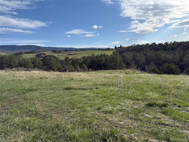 14495 N Scott Loop, Collbran, CO 81624
