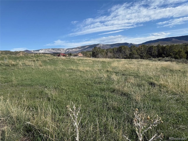 14495 N Scott Loop, Collbran, CO 81624