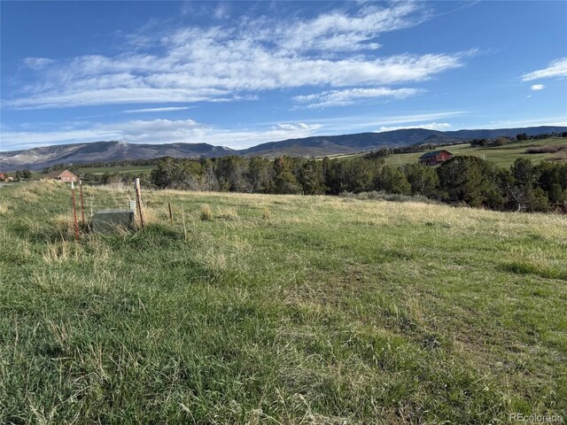 14495 N Scott Loop, Collbran, CO 81624