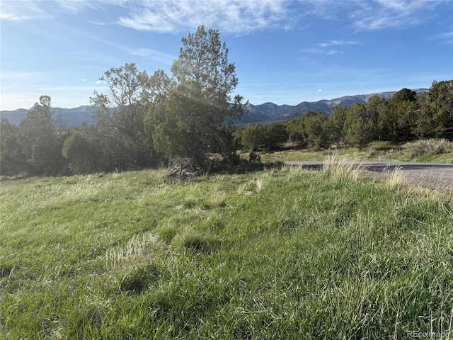 14495 N Scott Loop, Collbran, CO 81624