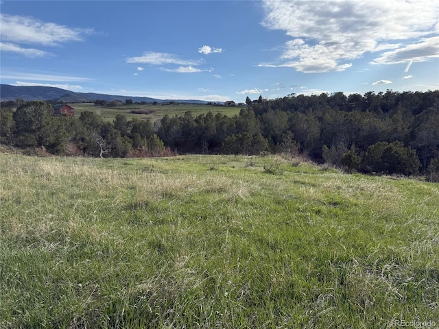 14495 N Scott Loop, Collbran, CO 81624