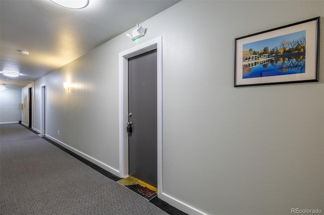 1245 Columbine St Unit 306, Denver, CO 80206 - corridor with dark carpet and baseboards
