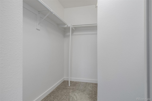 1245 Columbine St Unit 306, Denver, CO 80206 - spacious closet with carpet floors
