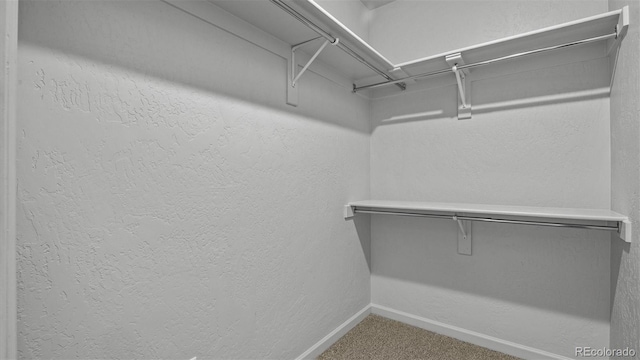 2891 Streamside Ave, Grand Junction, CO 81501 - walk in closet with carpet