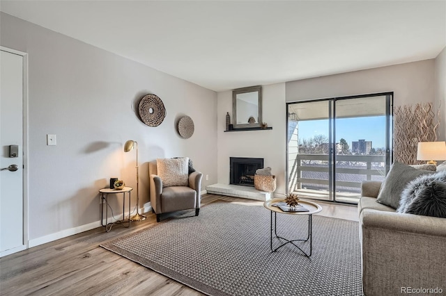 499 Wright St Unit 308, Lakewood, CO 80228 - living room with baseboards, a fireplace with raised hearth, and wood finished floors