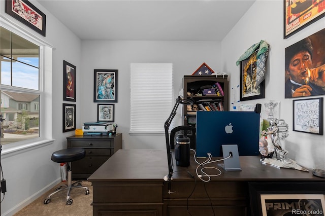 8550 Cheraw St, Littleton, CO 80125 - carpeted office with baseboards