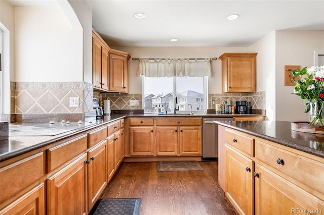 kitchen featuring sink, stainless steel dishwasher, tasteful backsplash, and dark hardwood / wood-style flooring