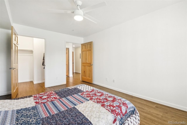 bedroom featuring wood-type flooring, a closet, a spacious closet, and ceiling fan