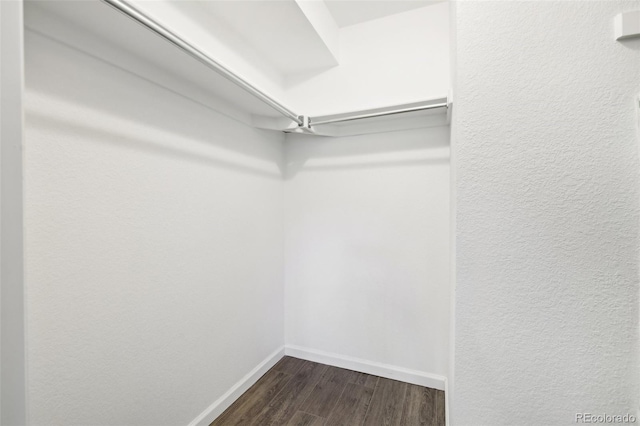 walk in closet featuring dark wood-type flooring