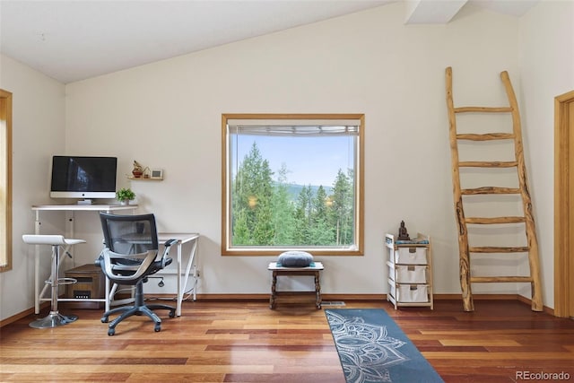 100 Moon Gulch Rd, Rollinsville, CO 80422 - home office featuring wood finished floors and vaulted ceiling