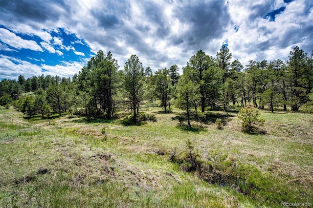 view of undeveloped land