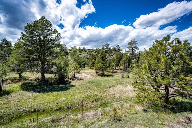 view of local wilderness