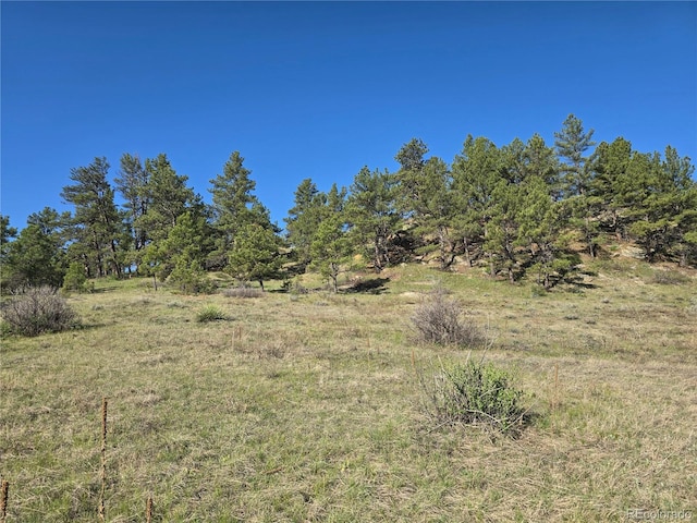 view of undeveloped land