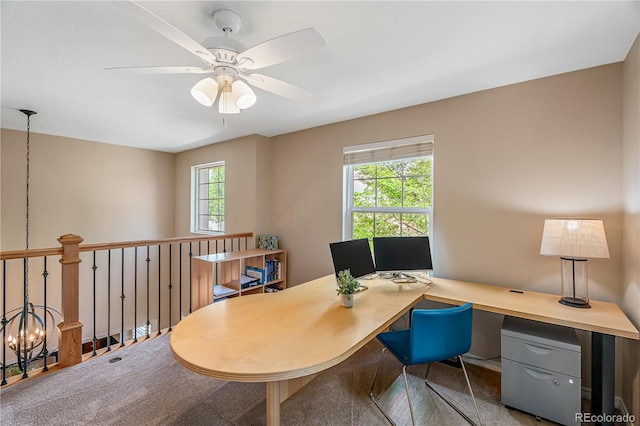 5221 Black Bark Ct, Fort Collins, CO 80528 - photo 20