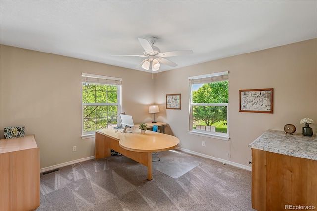 5221 Black Bark Ct, Fort Collins, CO 80528 - photo 21