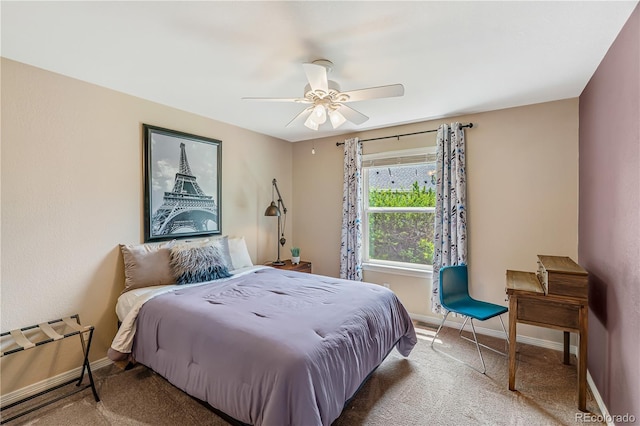 5221 Black Bark Ct, Fort Collins, CO 80528 - photo 22