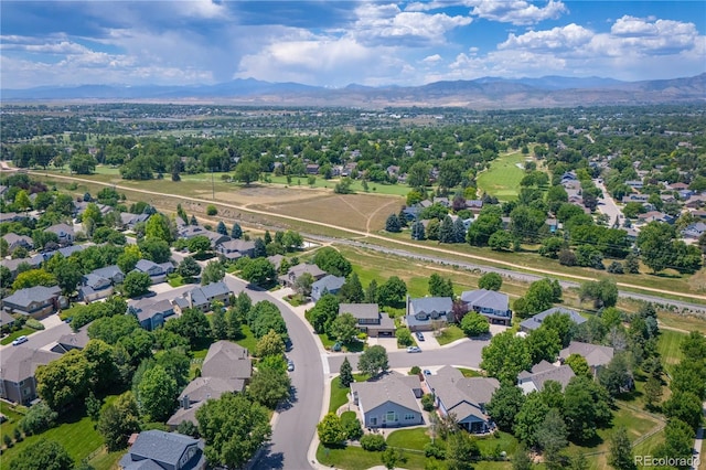 5221 Black Bark Ct, Fort Collins, CO 80528 - photo 37