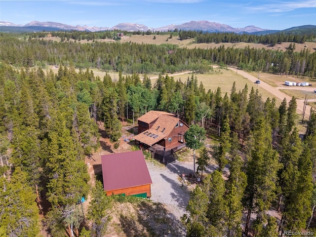 526 Busch Run, Fairplay, CO 80440 - photo 19