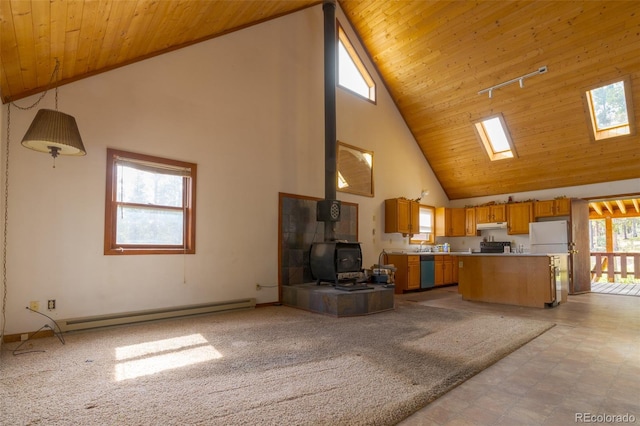 526 Busch Run, Fairplay, CO 80440 - photo 10