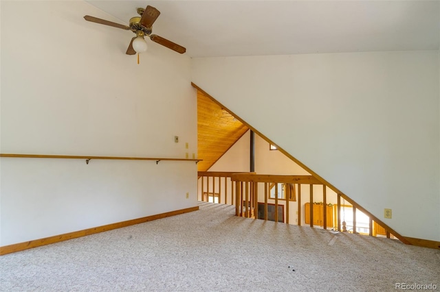 526 Busch Run, Fairplay, CO 80440 - photo 13