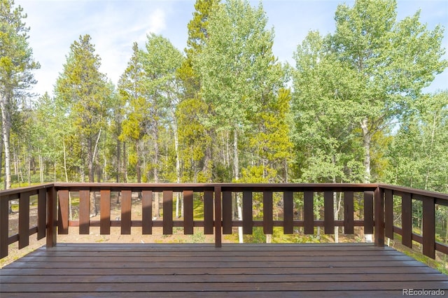 526 Busch Run, Fairplay, CO 80440 - photo 18