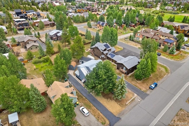 613 Belford St, Frisco, CO 80443 - photo 33