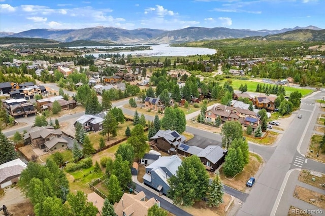 613 Belford St, Frisco, CO 80443 - photo 34