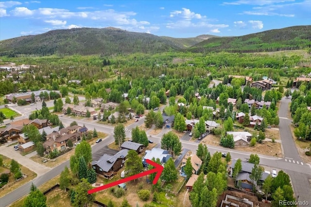 613 Belford St, Frisco, CO 80443 - photo 36