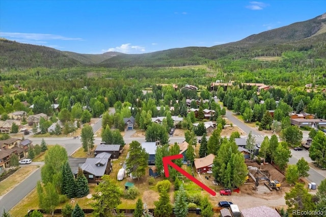 613 Belford St, Frisco, CO 80443 - photo 37