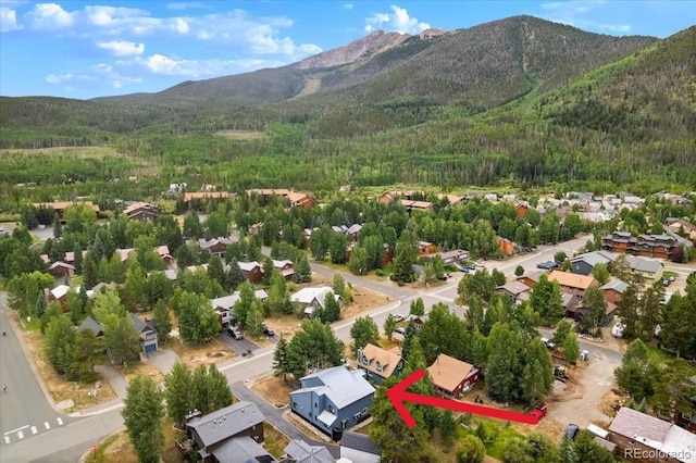 613 Belford St, Frisco, CO 80443 - photo 38