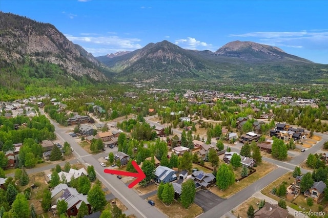 613 Belford St, Frisco, CO 80443 - photo 39