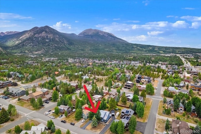 613 Belford St, Frisco, CO 80443 - photo 40