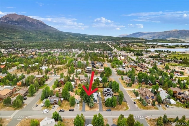 613 Belford St, Frisco, CO 80443 - photo 41
