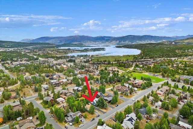 613 Belford St, Frisco, CO 80443 - photo 42