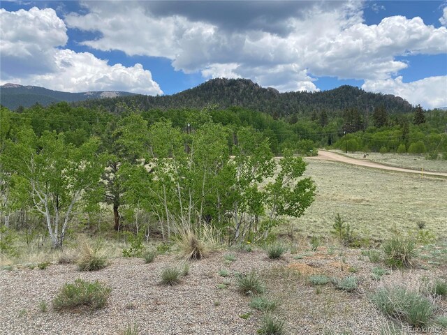 2071 Al Gulch Rd, Jefferson, CO 80456