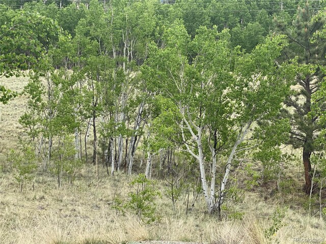2071 Al Gulch Rd, Jefferson, CO 80456