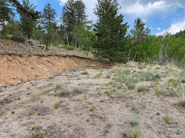 2071 Al Gulch Rd, Jefferson, CO 80456