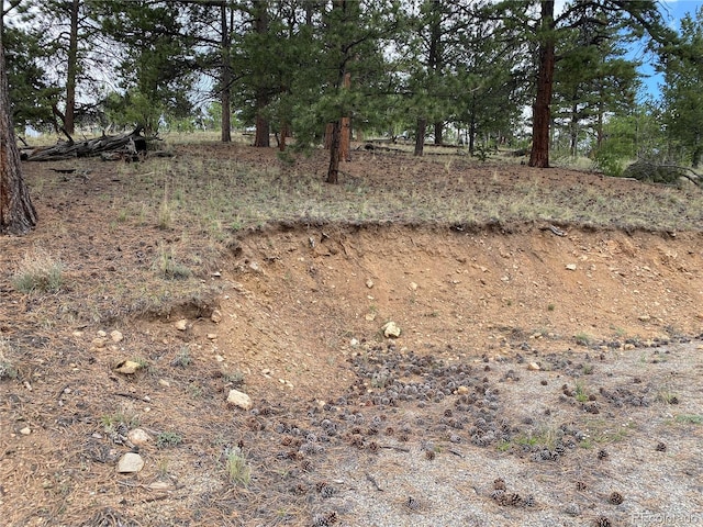 2071 Al Gulch Rd, Jefferson, CO 80456