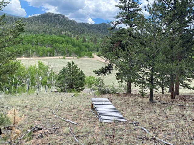 2071 Al Gulch Rd, Jefferson, CO 80456