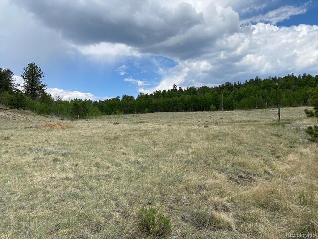 2071 Al Gulch Rd, Jefferson, CO 80456