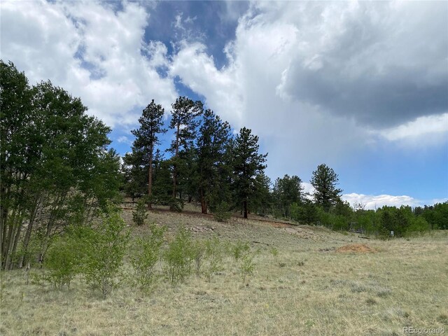 2071 Al Gulch Rd, Jefferson, CO 80456