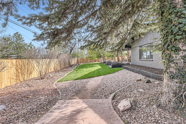 view of yard with a patio area and a fenced backyard