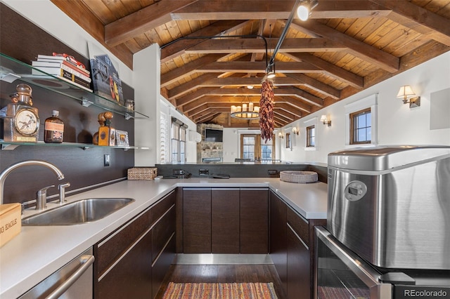 kitchen featuring a wealth of natural light, a sink, and dark brown cabinets