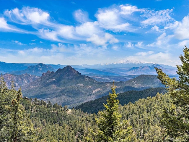 mountain view featuring a forest view