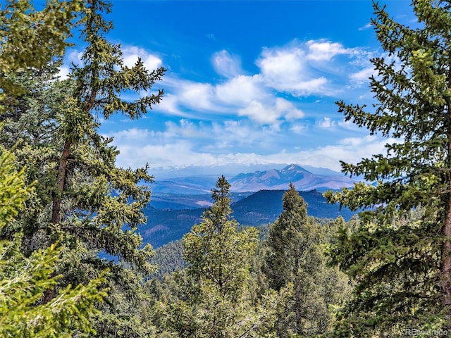 view of mountain feature featuring a view of trees