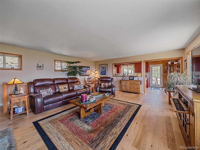living room featuring light wood-type flooring