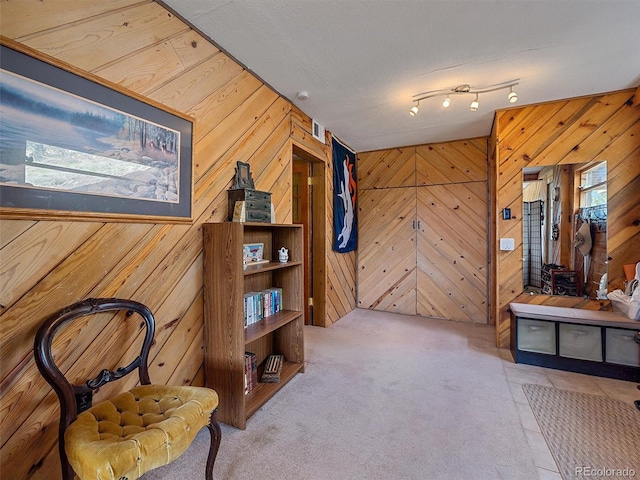 sitting room featuring carpet floors and wooden walls