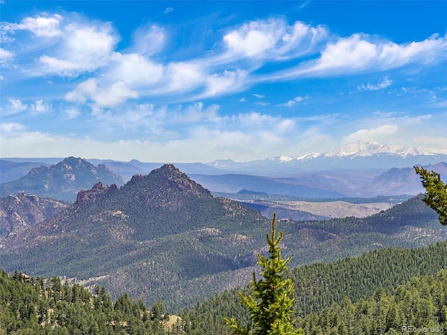 view of mountain feature featuring a forest view